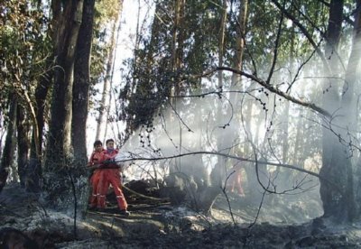 BOMBEROS FUEGO  CONTENEDOR